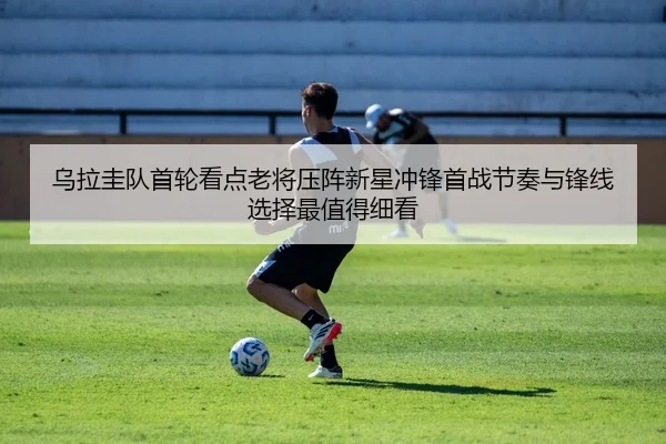 乌拉圭队首轮看点老将压阵新星冲锋首战节奏与锋线选择最值得细看