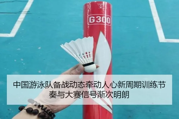 中国游泳队备战动态牵动人心新周期训练节奏与大赛信号渐次明朗
